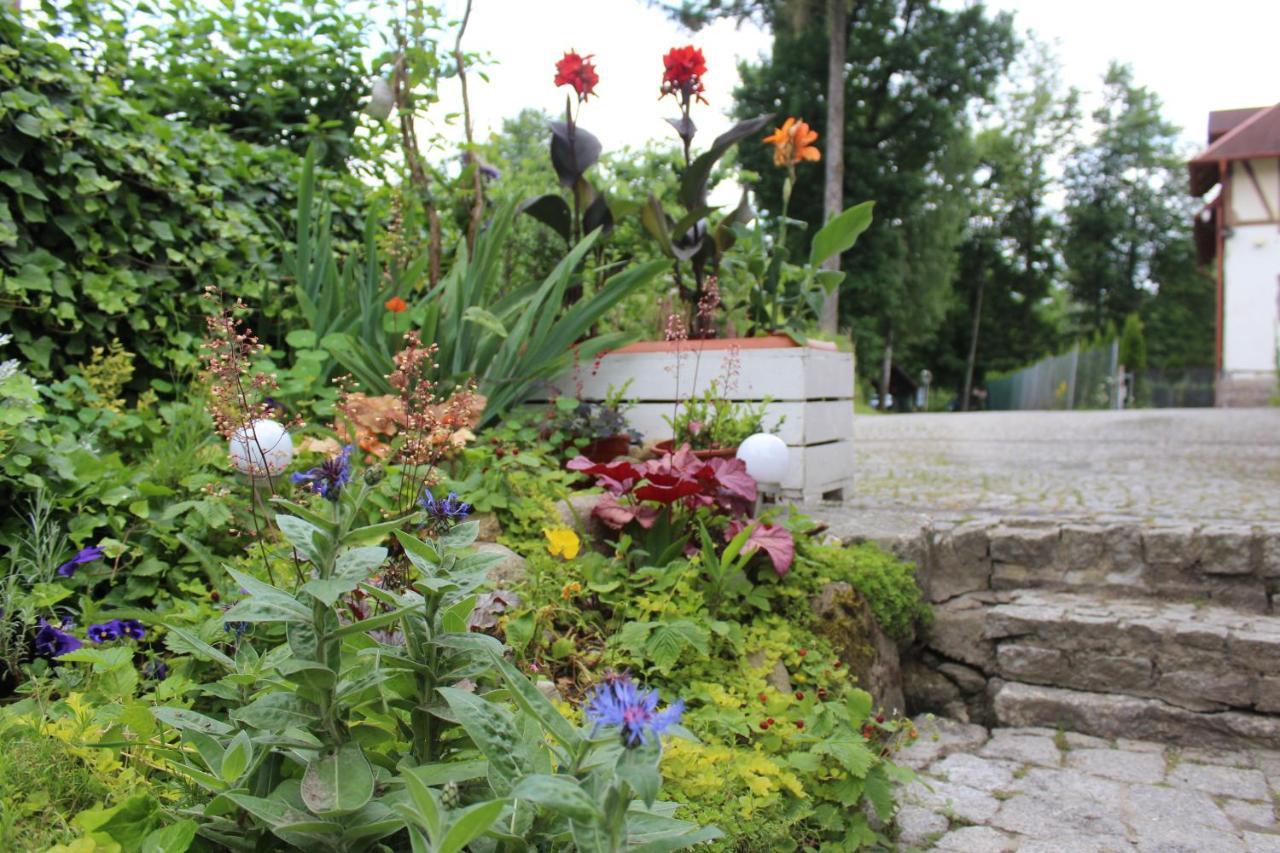 Pokoj Kameralny- De Luxe Z Oddzielnym Wejsciem Karpacz Exterior foto