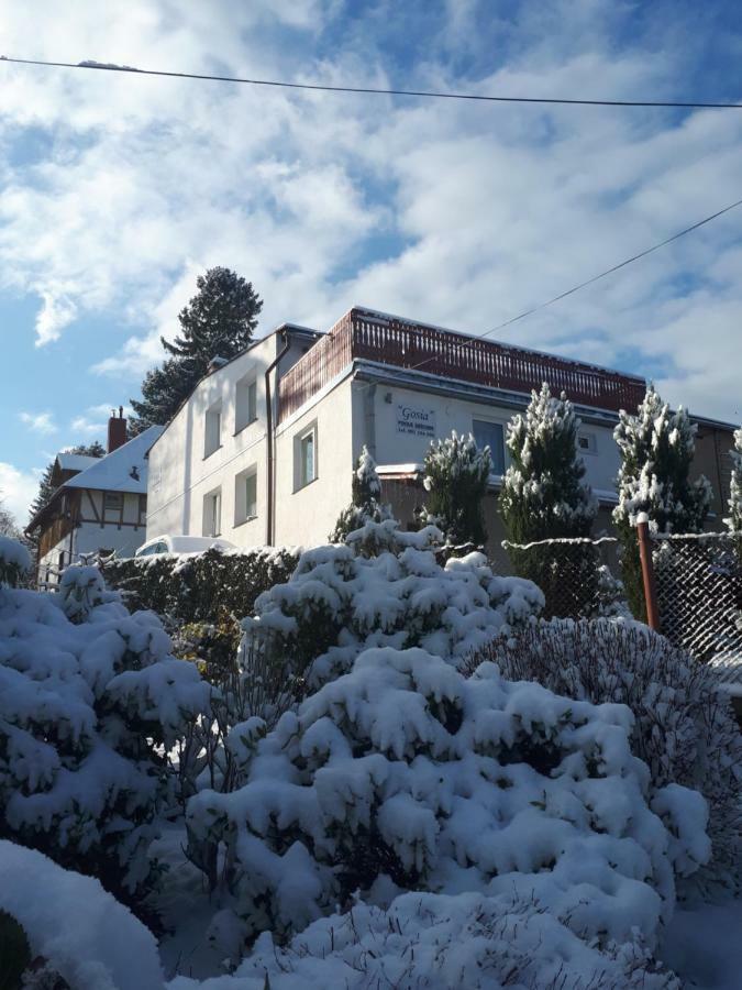 Pokoj Kameralny- De Luxe Z Oddzielnym Wejsciem Karpacz Exterior foto